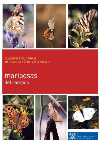 Mariposas del campus - Universidad de Alcalá