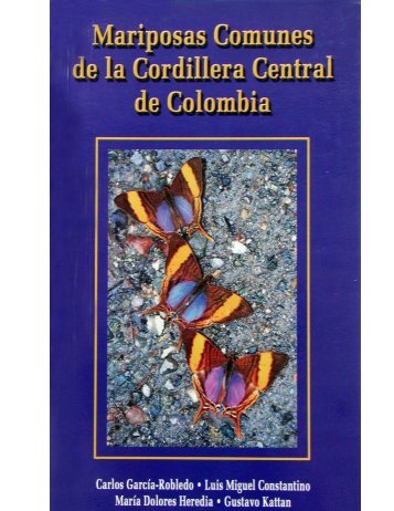 Mariposas cordillera central