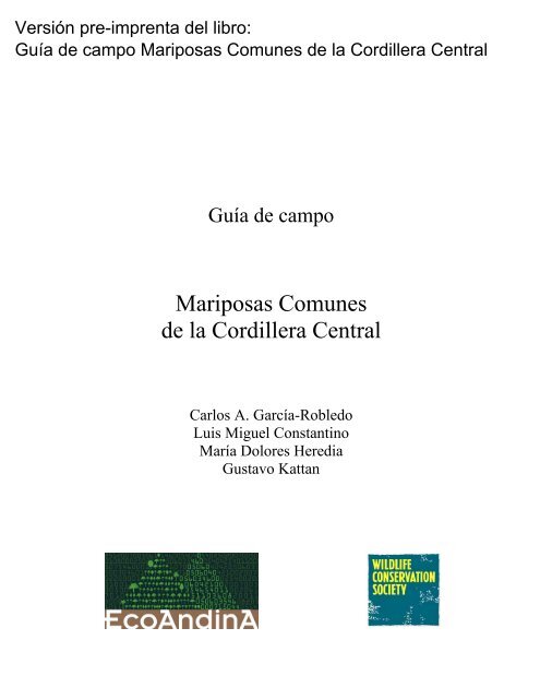 Mariposas cordillera central