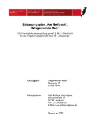 Bebauungsplan „Am Nollbach“, Ortsgemeinde Rech