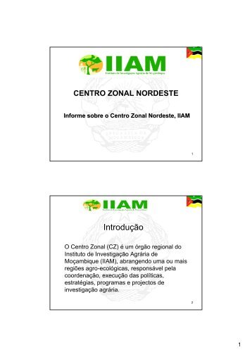 Informe sobre o Centro Zonal Nordeste, IIAM - Instituto de ...