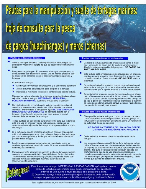 Para liberar una tortuga: 1) DETENGA LA EMBARCACIÓN y ... - NOAA