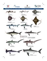 Afiche Cartilla Tiburones