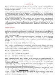 A Química do Fogo.pdf - cesnors