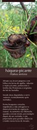 háquea-picante (Hakea sericea)