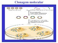 Clonagem molecular - Biologia Molecular e Genética
