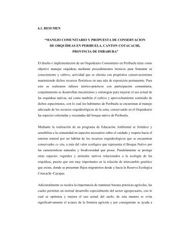 03 REC 85 09 RESUMEN Y SUMMARY-Cap VI.pdf - Repositorio UTN