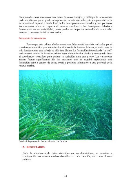 EVALUACIÓN DEL ESTADO DE LAS PRADERAS DE POSIDONIA ...