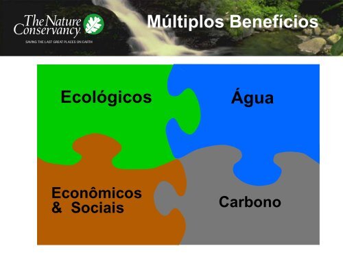 Gilberto Tiepolo - Estudo de Viabilidade para Projetos de Carbono ...