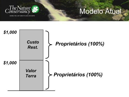 Gilberto Tiepolo - Estudo de Viabilidade para Projetos de Carbono ...