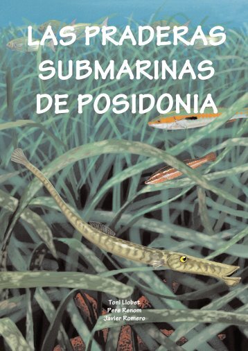 Las praderas submarinas de posidonia - Seagrass-Watch