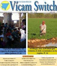 no 44. enero de 2011 - Vicam Switch