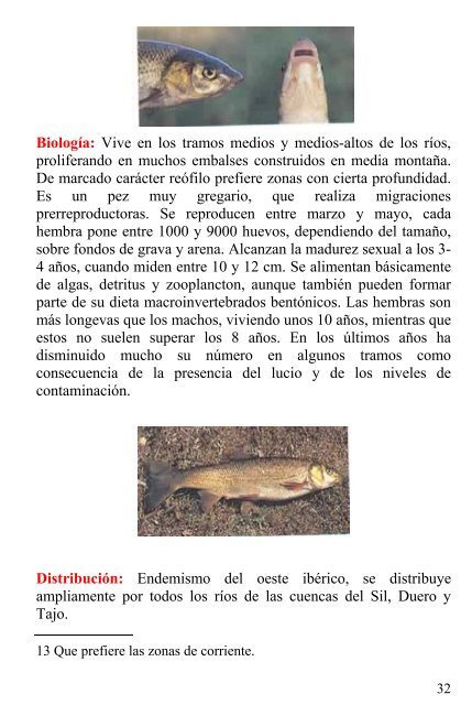 Los Peces de Castilla y León