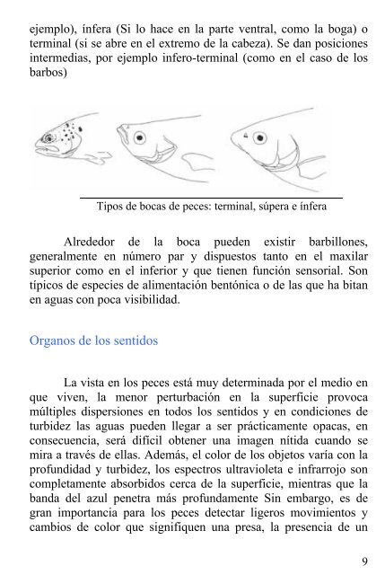 Los Peces de Castilla y León