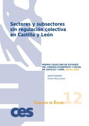 Sectores y subsectores sin regulación colectiva en Castilla y León