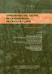 expectativas del sector de la bioenergía en castilla y león - Consejo ...