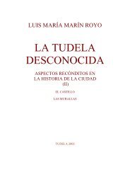 LA TUDELA DESCONOCIDA - Historia de Tudela