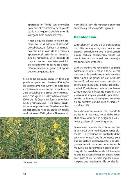 El cultivo de la colza en Castilla y León. El cultivo de la ... - ITACyL
