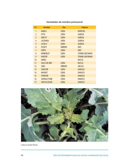 El cultivo de la colza en Castilla y León. El cultivo de la ... - ITACyL