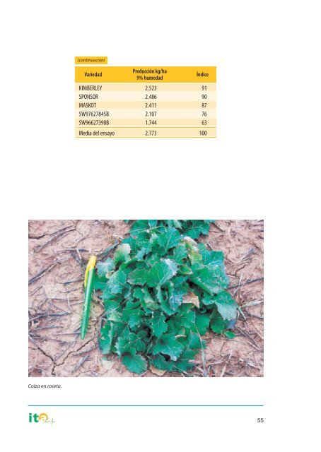 El cultivo de la colza en Castilla y León. El cultivo de la ... - ITACyL