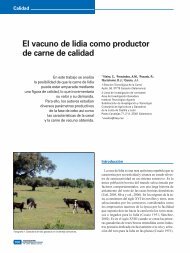 El vacuno de lidia como productor de carne de calidad - Centro ...