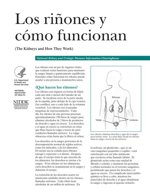 Si tiene presión arterial alta si se acuesta Si tiene presión arterial alta si se acuesta