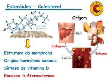 Esteróides - Colesterol