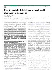 Plant protein inhibitors of cell wall degrading enzymes