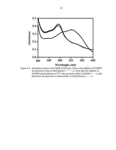 B12 METABOLISM IN HUMANS By NICOLE AURORA LEAL A ...