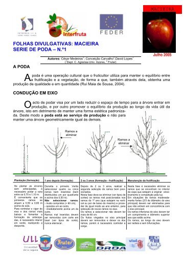 macieira serie de poda - Universidade dos Açores