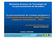 Workshop Avanços da Tecnologia de Co-processamento de ...