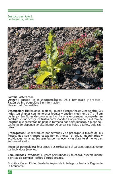 Manual de Plantas Invasoras del Centro-Sur de Chile