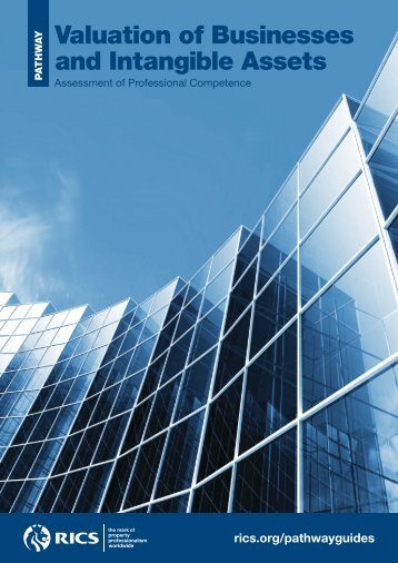 RICS Valuation of Businesses and Intangible Assets Pathway Guide