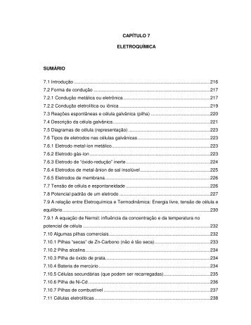 CAPÍTULO 7 ELETROQUÍMICA SUMÁRIO 7.1 Introdução ... - Unioeste