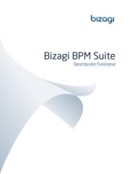 Bizagi BPM Suite descripción funcional