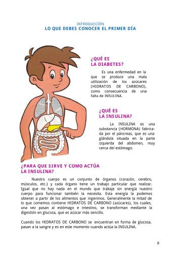 qué es la insulina? - Fundación para la diabetes