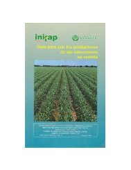 folleto productores 27 semilla ajo.pdf - inifap - aguascalientes