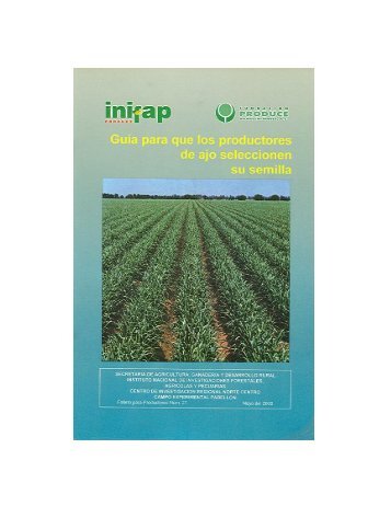 folleto productores 27 semilla ajo.pdf - inifap - aguascalientes