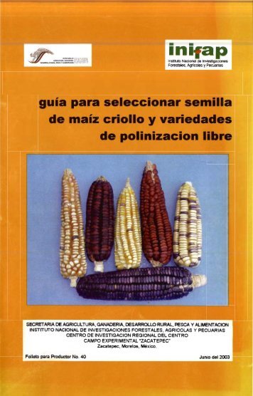 Guía para seleccionar semilla de maíz criollo y variedades ...