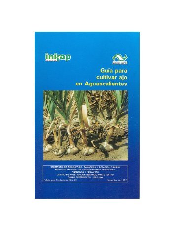 folleto productores 21 ajo.pdf - inifap - aguascalientes