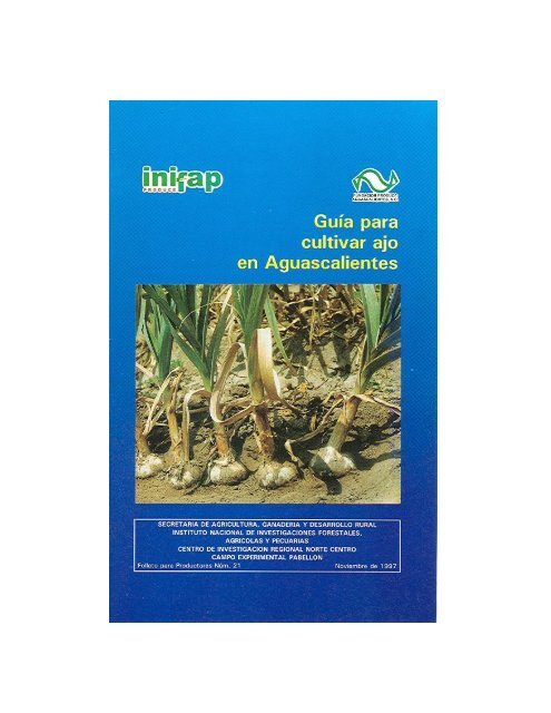 folleto productores 21 ajo.pdf - inifap - aguascalientes