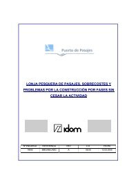 Informe Idom