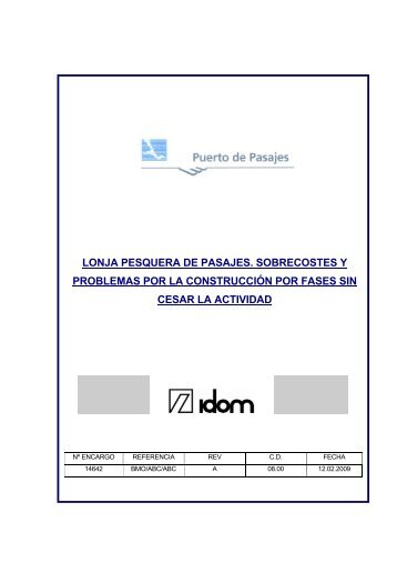 Informe Idom