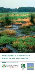 NATURRESERVAT RIESELFELDER WINDEL IN BIELEFELD-SENNE