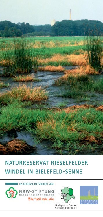 NATURRESERVAT RIESELFELDER WINDEL IN BIELEFELD-SENNE