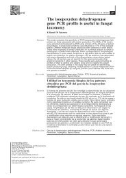 289-293 - Revista Iberoamericana de Micología