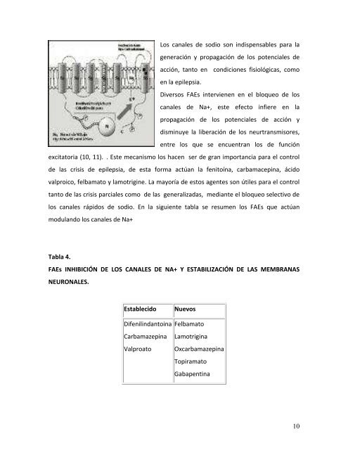 efecto neuroprotector de los nuevos fármacos antiepilépticos