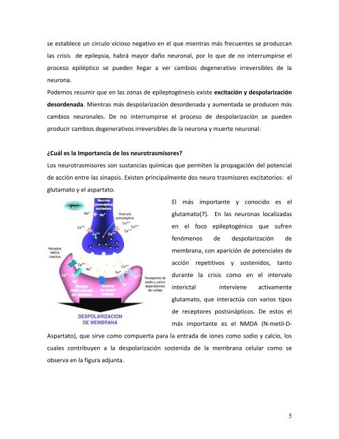 efecto neuroprotector de los nuevos fármacos antiepilépticos