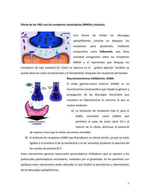 efecto neuroprotector de los nuevos fármacos antiepilépticos