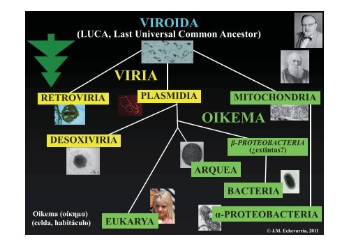 Los virus y el origen de la Vida - ISCM